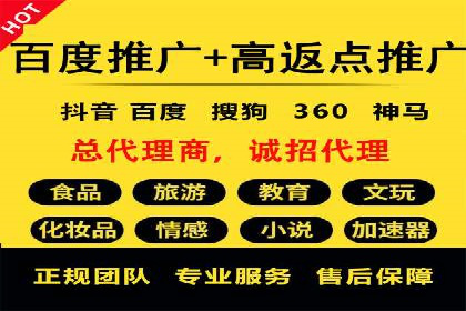 百度SEM推广策略：成功案例解析